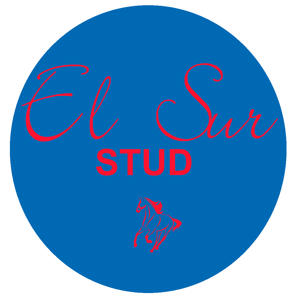 ElSur Stud