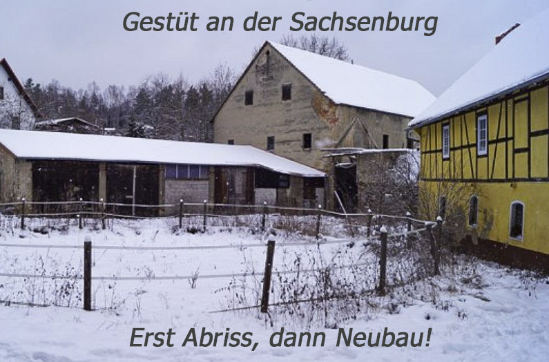 Gestüt an der Sachsenburg